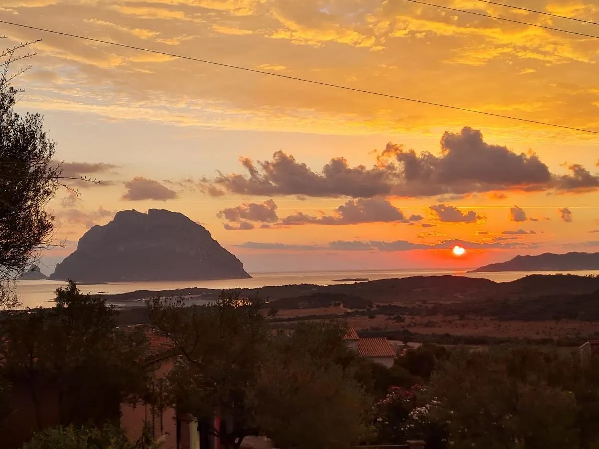 Apartment Holiday Homes Porto San Paolo