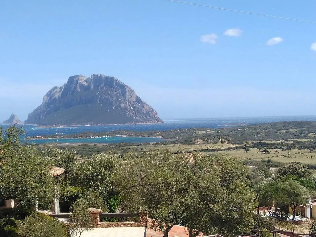 Apartment Holiday Homes Porto San Paolo